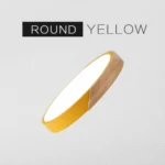 24inch Large Ceiling Lamps Led Lights for Room Bedroom Smart Lamp Lighting Fixture Ultrathin Led Ceiling Light For Living Room - Image 13