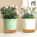 Plastic Flowerpot Flower Plant Pot Balcony Courtyard Potted Plants Bonsai Flowerpot with Drainage Home Garden Tray macetas - Image 4