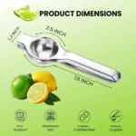8 Inch Stainless Steel Juicer, Heavy Duty & Effortless Squeezing for Lemons, Oranges, Easy to Clean, Long Handle Design - Image 2
