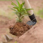 Small Hoe for Digging Soil Garden Hoe Household Outdoor Farming Tools for Planting Vegetables and Flowers - Image 3