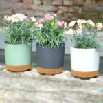 Plastic Flowerpot Flower Plant Pot Balcony Courtyard Potted Plants Bonsai Flowerpot with Drainage Home Garden Tray macetas - Image 3