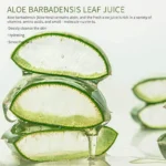 150ml Aloe Vera Cleanser Face Mousse Wash Refreshing Hydrating And Water-locking Deep Cleansing For Facial Skin Beauty Skincare - Image 5