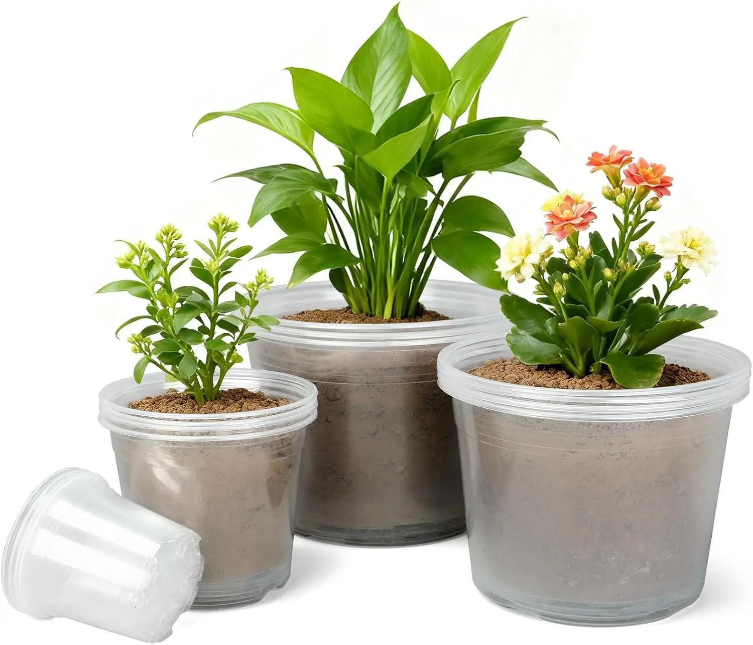 S4b90ccec6e76453386ea7181e4a0c9e7A.webp 4/6/8/10 Inch Large Size Clear Nursery Pots for Plants, 16 Pack Plastic Plant Pots with Drainage Holes, Durable Seedling Star