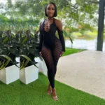 Mesh Jumpsuit For Women Sexy Club,Rhinestone Deep V One Piece - Image 2
