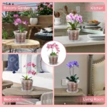 5Pcs Transparent Orchid Pot 4/5/6/7inch Planter Pot with Holes and Saucers Breathable Flower Plant Pot for Nursery