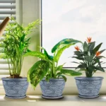 Outdoor Flower Pots for Plants Set of 3 Pack 11 Inch Planter Pot, Large Plastic Plant Pots Indoor Plants with Drainage Holes