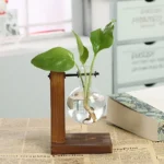 Terrarium Hydroponic Plant Vases Vintage Flower Pot Transparent Vase Wooden Frame Glass Tabletop Plants Home Bonsai Decor - Image 3