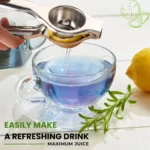 8 Inch Stainless Steel Juicer, Heavy Duty & Effortless Squeezing for Lemons, Oranges, Easy to Clean, Long Handle Design - Image 6