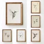 Retro Minimalist Hummingbird Sketch Bird Animal Drawing Illustration Poster Canvas Painting Wall Art Pictures Home Decor