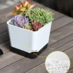 5Pcs Plant Pots, Self Watering Flower Pots Indoor Outdoor, Self Watering Planters with Drainage Hole & Clear Saucer Reservoir - Image 5