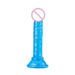 Realistic Dildos With Suction Cup Jelly Dildos Sex Toys for Woman Men Fake Dick