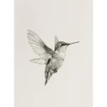 Retro Minimalist Hummingbird Sketch Bird Animal Drawing Illustration Poster Canvas Painting Wall Art Pictures Home Decor - Image 9