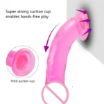 Realistic Dildos With Suction Cup Jelly Dildos Sex Toys for Woman Men Fake Dick