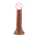 Realistic Dildos With Suction Cup Jelly Dildos Sex Toys for Woman Men Fake Dick