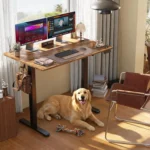 Electric Adjustable Standing Desk, 24×48 Inches Sit Stand Home Office Desk with Splice Board, Black Frame/Rustic Brown Top