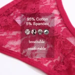 5PCS/Set Women's Underwear Lace Panties Floral Lingerie Woman Panties Sexy Thong G-String Female Pantys Perspective Intimates - Image 3