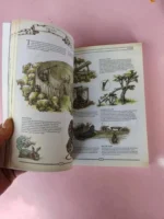 The Books Who Leads Readers To Deeply Understand The Core Concepts - Image 6