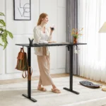 JHK  Ergonomic Electric Standing Desk Height Adjustable Computer Desk Large Work PC Table Home Office Writing Gaming Desks