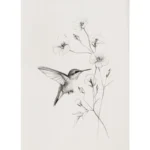Retro Minimalist Hummingbird Sketch Bird Animal Drawing Illustration Poster Canvas Painting Wall Art Pictures Home Decor - Image 8