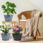 Outdoor Flower Pots for Plants Set of 3 Pack 11 Inch Planter Pot, Large Plastic Plant Pots Indoor Plants with Drainage Holes