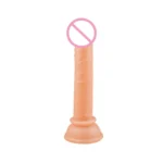 Realistic Dildos With Suction Cup Jelly Dildos Sex Toys for Woman Men Fake Dick