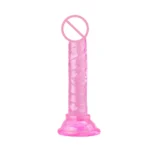Realistic Dildos With Suction Cup Jelly Dildos Sex Toys for Woman Men Fake Dick