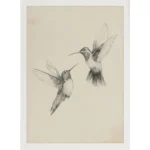 Retro Minimalist Hummingbird Sketch Bird Animal Drawing Illustration Poster Canvas Painting Wall Art Pictures Home Decor - Image 11