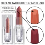 Orange Lipstick Lip Glaze Silky Smooth Matte Lip Gloss Carrot Bright Color Lasting Lip Stick Sexy Women Cosmetics Makeup Product