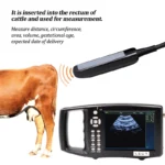 Cattle 5.6 Inch Screen Veterinary Ultrasound Scanner Cow Pig Horse Ultrasound Pregnancy Testing Machine Accessories Probe