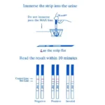 EGENS 20Pcs LH Ovulation Tests Over 99% Accuracy Test Kit Household Strips Urine Test Strips Pregnancy Test First Response - Image 5