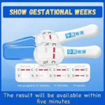 HCG Female Early Pregnancy Week Detection Rod Pen - Self Urine Measurement - Image 2