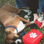 Pet First Aid Kit Multi-purpose Emergency Medical Portable Cat and Dog Medical Bag Outdoor Home Emergency edc Camping Hiking - Image 5