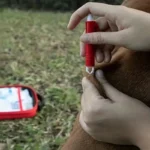 Compact pet First Aid kit for dogs and cats – emergency supplies, camping and backpacks