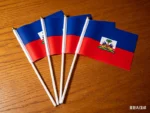 Haiti Hand Flag 14*21cm Haitian National Hand Held Waving Small Flag North America World Countries Decor - Image 2
