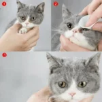 130 Pcs/set of Dog and Cat Cleaning Wipes Pet Eye Wipes Grooming Tear Stain Remover Gentle Non-foaming Wipes Towels - Image 4