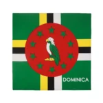 Caribbean National Flag Design Bandana 100% Cotton Running Headband Haiti/Jamaica/Guyana/Dominican Flag Scarf Hip Hop Head-wrap - Image 17