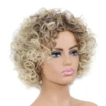 Black Silver Grey Short Wig Micro-Curly Synthetic Fluffy Hair Wig for Women Party Cosplay Quick Delivery hair - Image 3