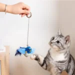 Birds Cat Toys Indoor Interactive Cat Toy for Cats Chasing Teasing Toy Sounding Catnip Cat Teaser Toy Self-hilarity Wall Hanging - Image 3