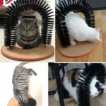 Cat Toy Arch Self Groome Pamper Feline with A Massage Grooming Rubbing Brush with Scratching Pad Toy for Cats Interactive Toys - Image 6