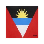 Caribbean National Flag Design Bandana 100% Cotton Running Headband Haiti/Jamaica/Guyana/Dominican Flag Scarf Hip Hop Head-wrap - Image 12
