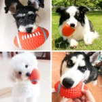 Toys For Dog Chihuahua Balls Anti Bite Dog Chew Toy Pet Squeak Toys Dog Toys Natural Latex Dog Safe Interactive Toys Accessories - Image 2