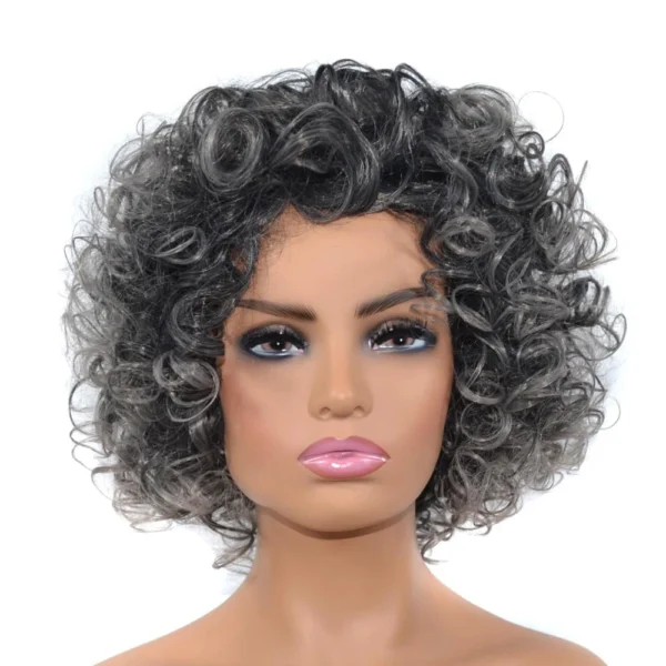 Black Silver Grey Short Wig Micro-Curly Synthetic Fluffy Hair Wig for Women Party Cosplay Quick Delivery hair