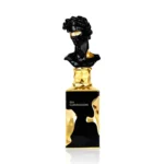 His Confession Eau de Parfum, Deep Woody Aromatic Scent, 100ml Premium Designer Perfume